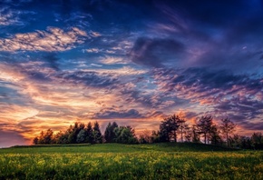 nature, landscape, trees, field flowers, the sunset, , ,  ...