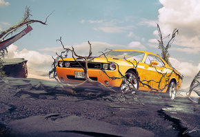 ����, �������