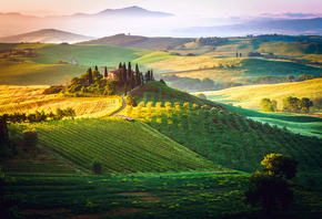 , , , , , , , The Tuscan Dream