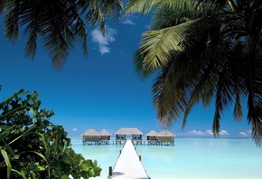 Mальдивы, пляж, вода, лето, небо, берег, песок, океан, мостик, дома, пальмы