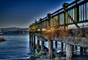 ����, �����, ������, ����