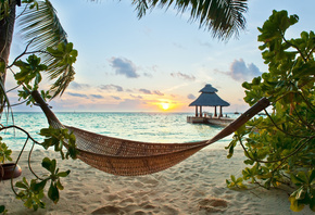 paradise, palms, beach, tropical, sunshine, ocean, summer, sea