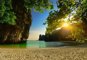 beach, water, sea, tree, sand