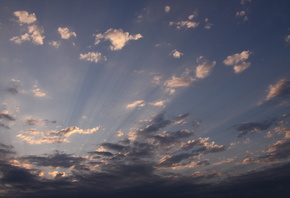 ����, ������, ����, ����