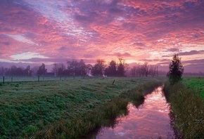 canal, water, fields, tree, sky