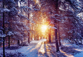 ����, ����, ������, ����, �������, ���, ����