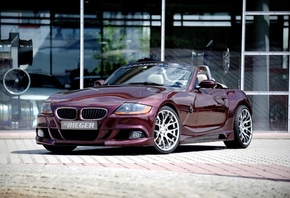 2010, Rieger, BMW, Z4, E85, 