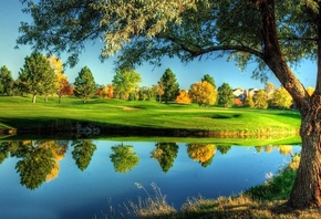 river, water, reflextion, tree, grass