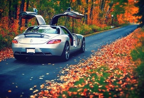 ���, ������, ����, �����