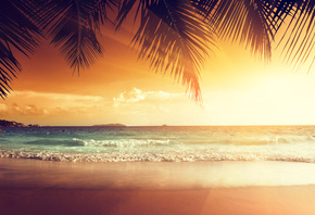 shore, sand, sea, Palms, beach, tropics