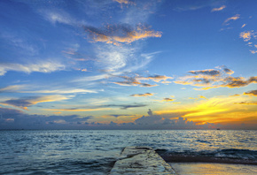 �����, ����, ������