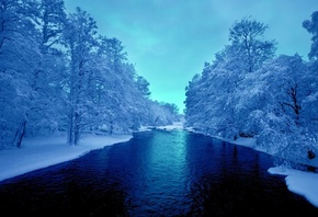 deep, blue, river, tree, snow, winter