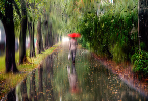 осень, дождь, стекло, капли, улица, прохожие, зонтик