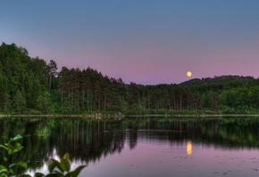 lake, moon, trees, sky