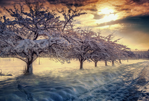 winter, sunset, trees, road, snow, landscape