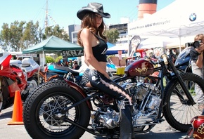 Harley Davidson, Steel Horse Cowgirl, , 