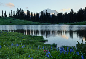 Tipsoo Lake, Mount Rainier, Mount Rainier National Park, Washington, Lake Tiphsah, Mount Rainier