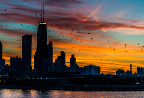 Chicago, �����, ����, �����, �����