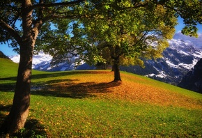 �����, ����, �������