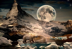 Лунный пейзаж, снег, лед, белые медведи, Арктика