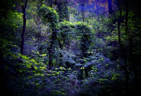 �������, ���, ����