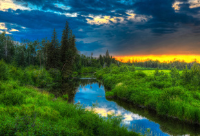 �������, ��������, ������, ������