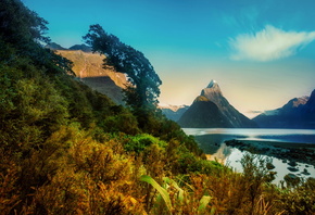 landscape, New Zealand, Mountains, milford, shrubs