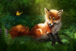 fox, butterfly, art