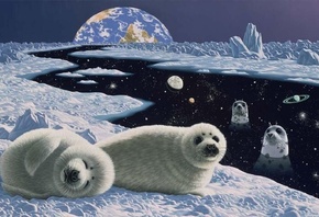 тюлени, льды, полынь, космос, планета, william schimmel, deviant art