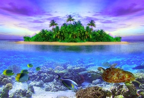 tropical island of Maldives, sea, island, fish, landscape