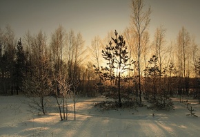 �������, ������, ���, ����