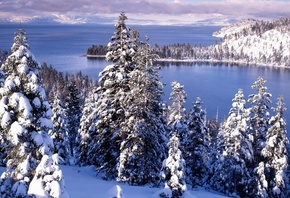 зима, лес, снег, ели, озеро, Lake Tahoe, usa