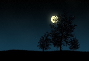 луна, звезды, дерево, ночь