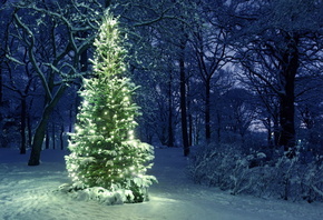 ���, ��������, ����, ����.