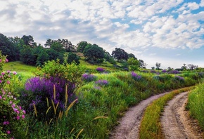 �������, ������, �����, �������, �����, ����, ����