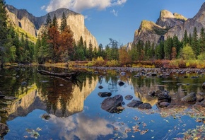 ����, ����, �����, �������