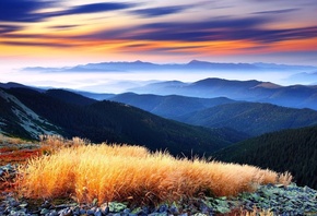 ����, �����, �������