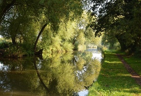 ����, �������, �������, ����