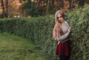 �����, ��������, ������, ������, ������, �������, �������