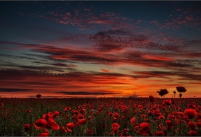 ������� �����, ����, ����, ����