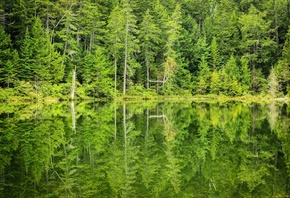 �����, ���, �������, ����, ���������, ������, �������