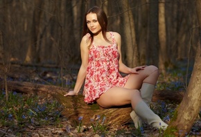 �������� �������, ���, �����, �����, �������