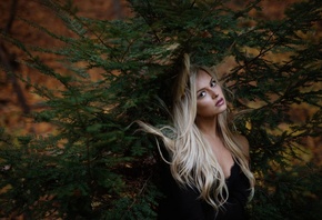 ������, Keilih, Jesse Herzog, �����