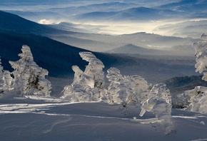 �����������, ����� � �����, ���� ������, �������