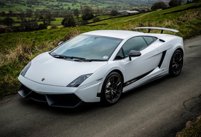 lamborghini, gallardo superleggera, lp570-4, white, ,   ...