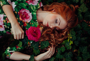 �������, �����, Anne Hoffmann