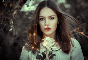 �������, �����, Anne Hoffmann