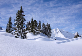 ����, ���, �������, �����