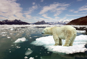 ��������, �������, �����