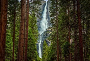 �������, �������, ����, ���, ����� ����, �������